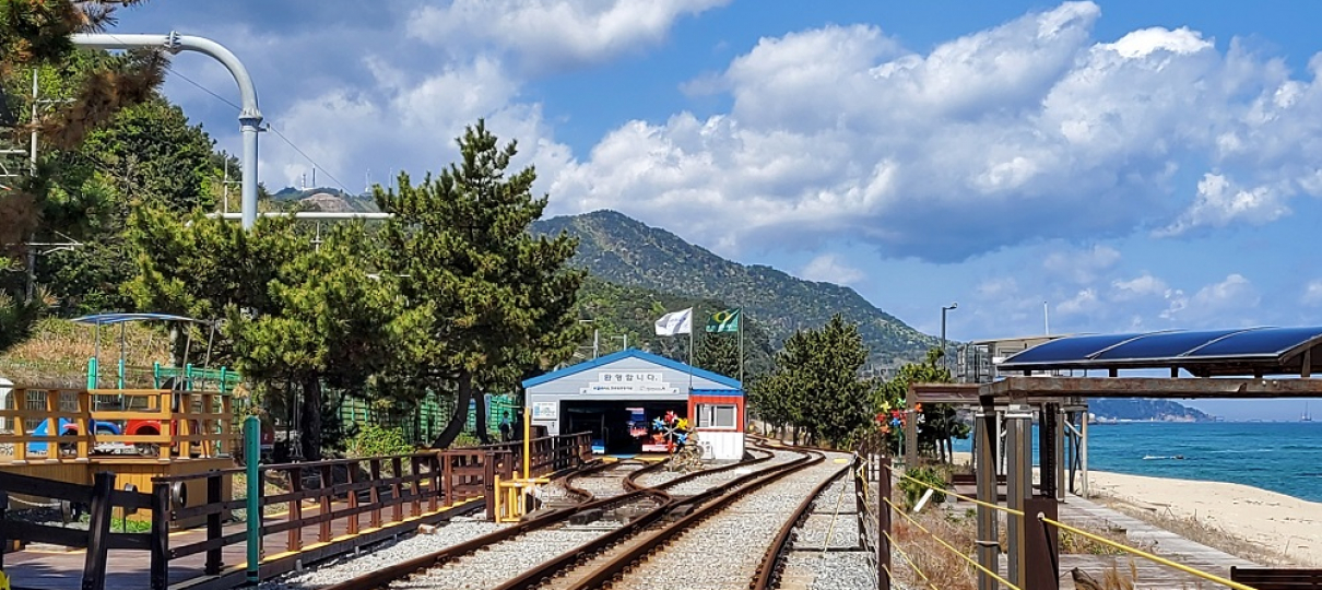 정동진 자전거 기차